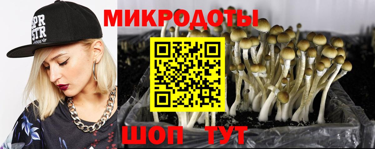 Псилоцибиновые грибы MAGIC MUSHROOMS  Вход с VPN  Янаул 